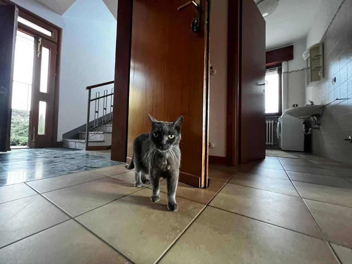 My Holidays - Musso Apartment ภายนอก รูปภาพ